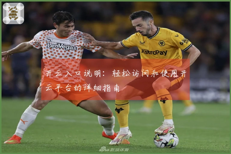 开云入口说明：轻松访问和使用开云平台的详细指南