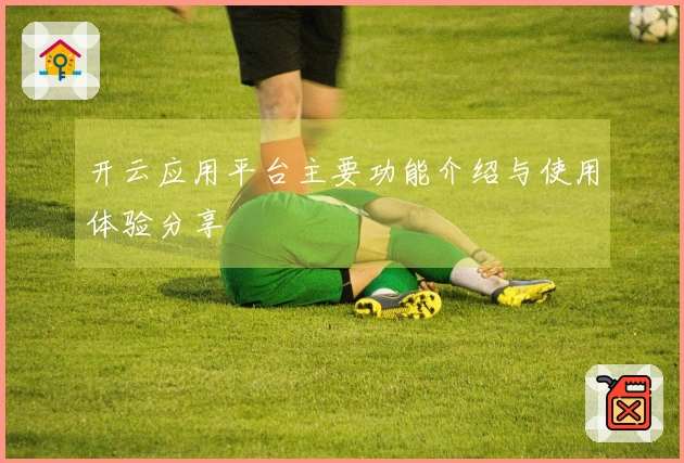 开云应用平台主要功能介绍与使用体验分享